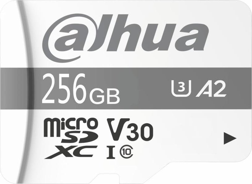Dahua Technology Dahua TF-P100 microSD 256GB