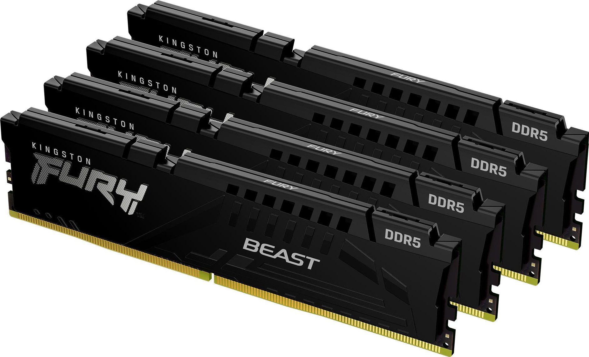Kingston Fury Kingston Technology FURY Beast