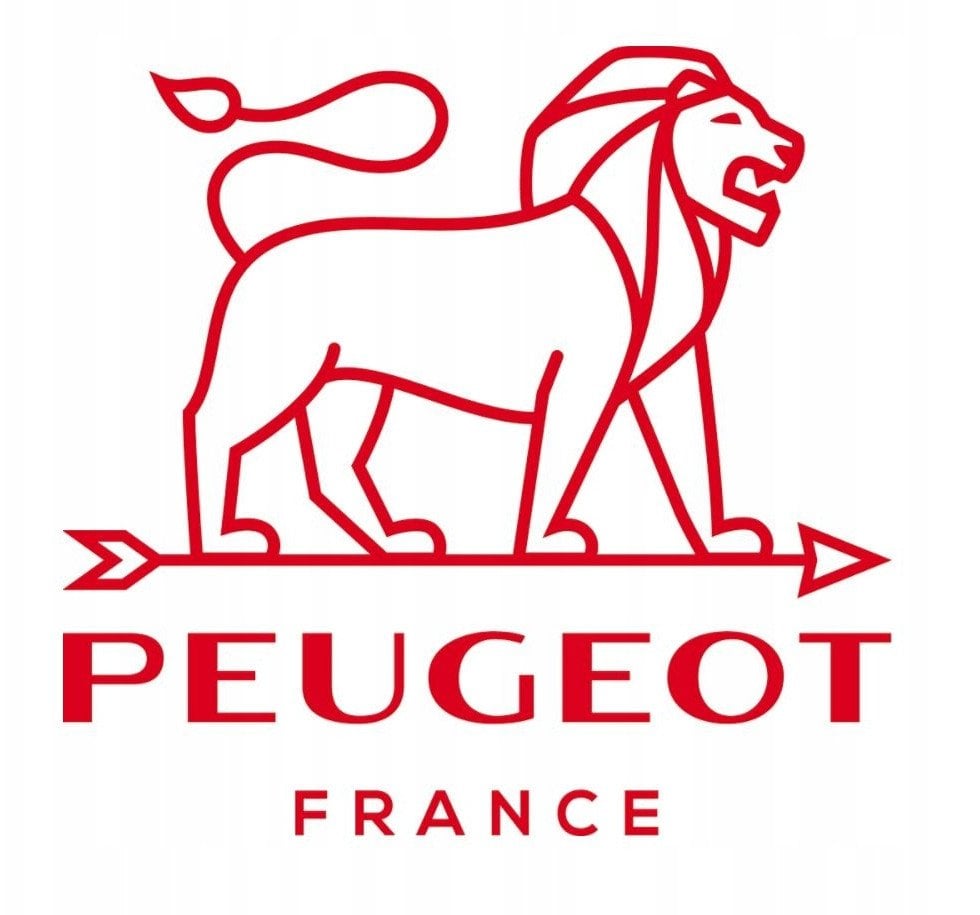 Peugeot APPOLIA Naczynie prostokątne 36 cm