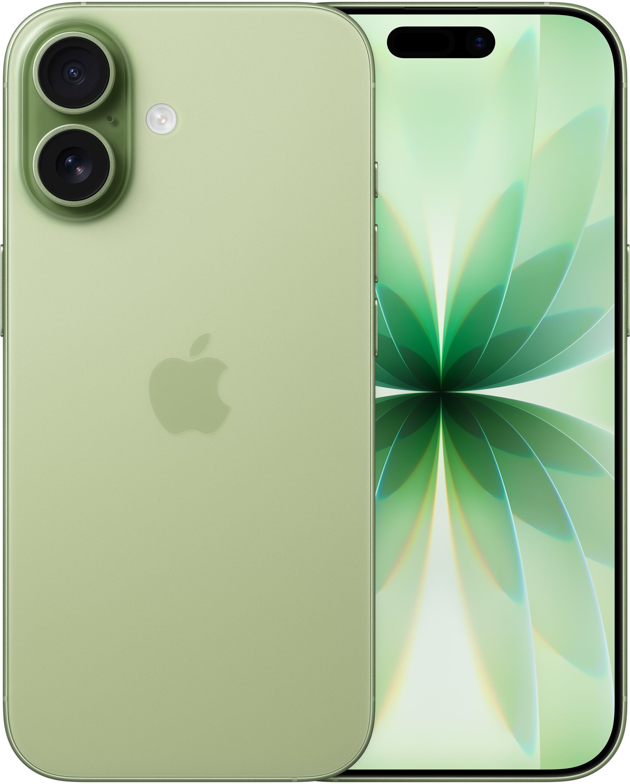 Apple iPhone 17 8/256GB Green (MG6N4HN/A)