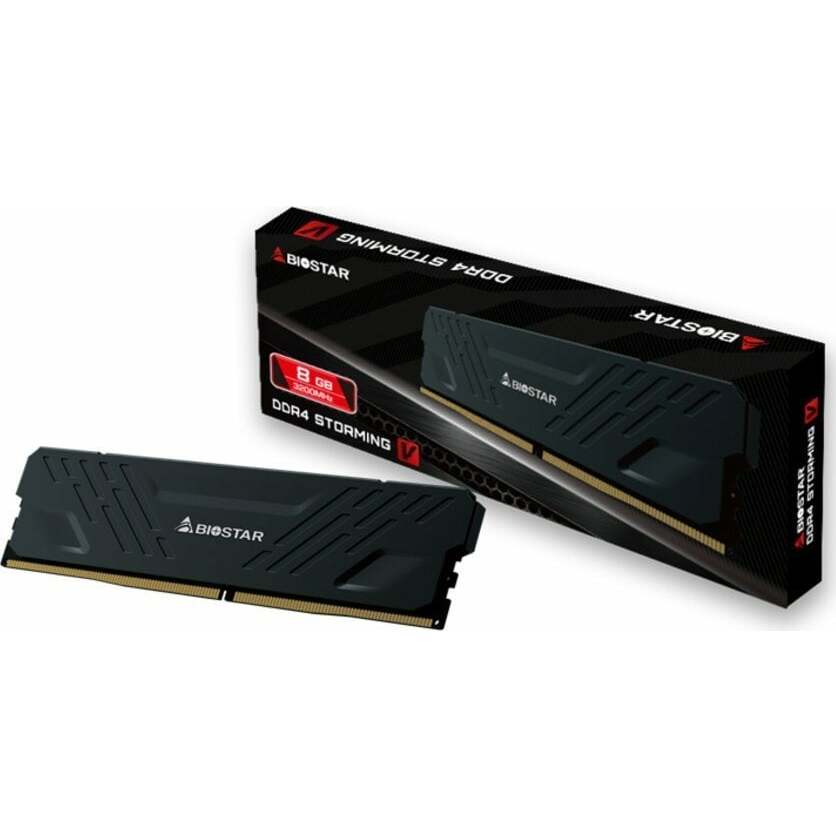 Biostar DDR4 Storming V memory module