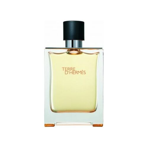 Hermès Terre d`Hermes EDT 100 ml