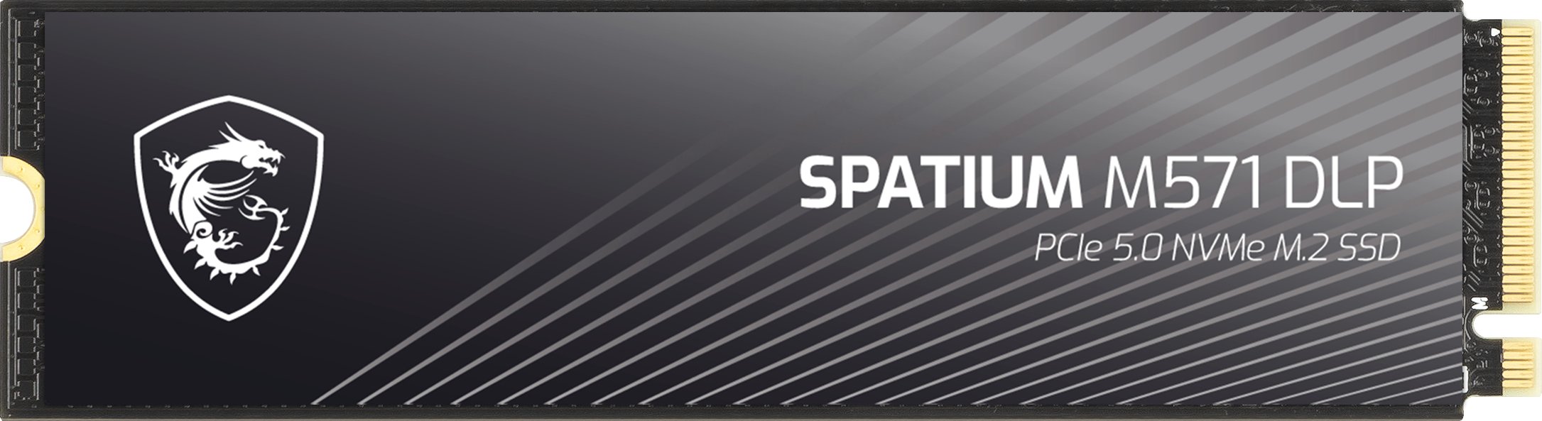 MSI SPATIUM M571 DLP 2TB M