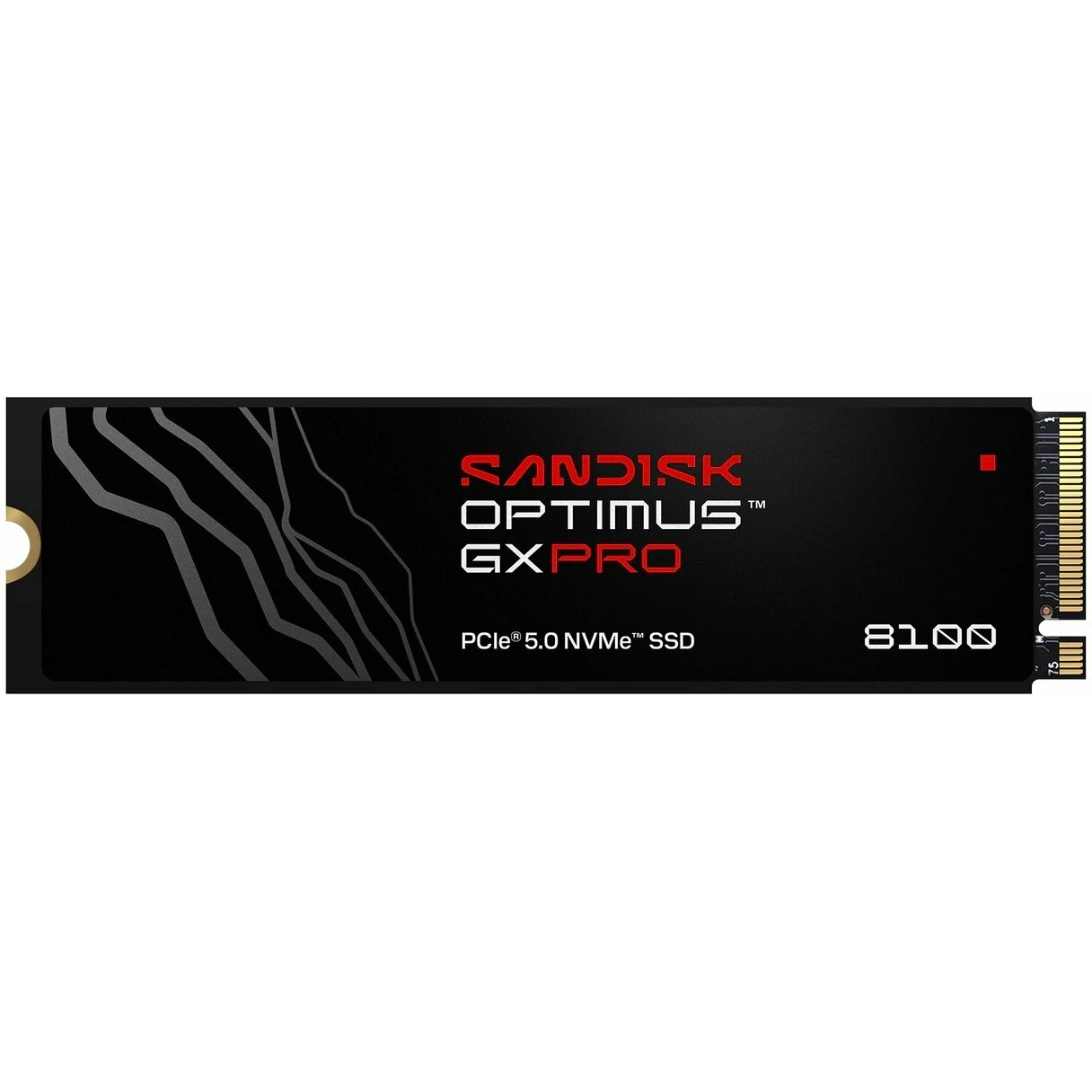 SanDisk Optimus GX PRO 1TB M
