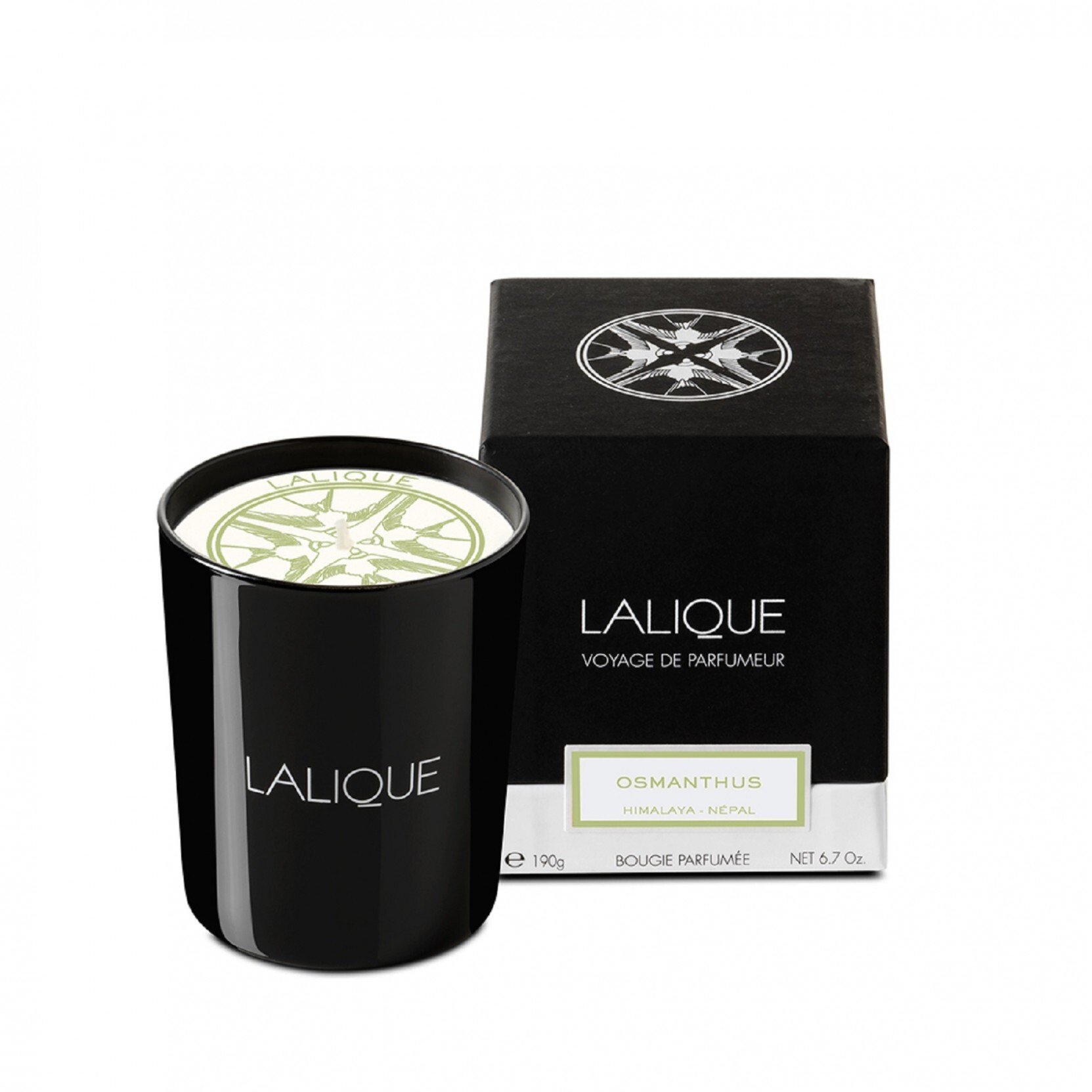 Lalique , Osmanthus Himalaya Nepal, Osmanthus, Scented