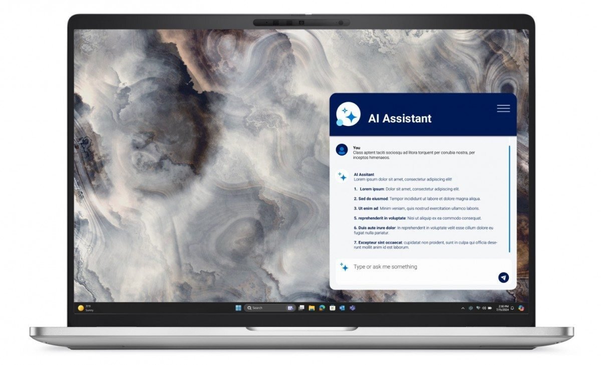 Dell Pro 16 Plus PB16250 /