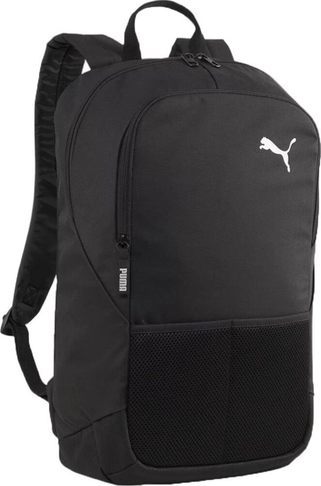 Puma  Team Goal Black (090239-01) |
