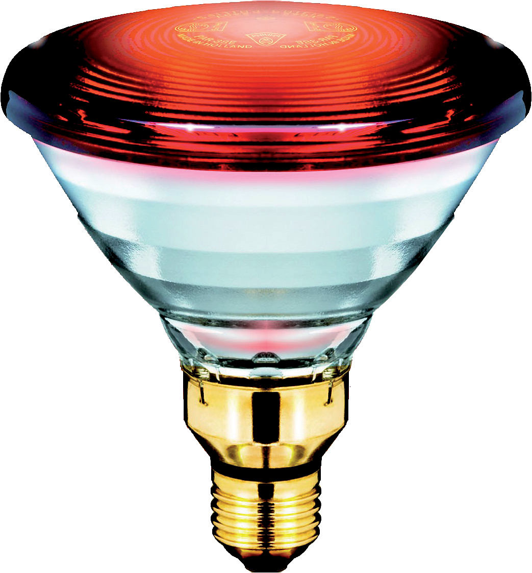 Philips Promiennik podczerwieni PAR38 IR 230V