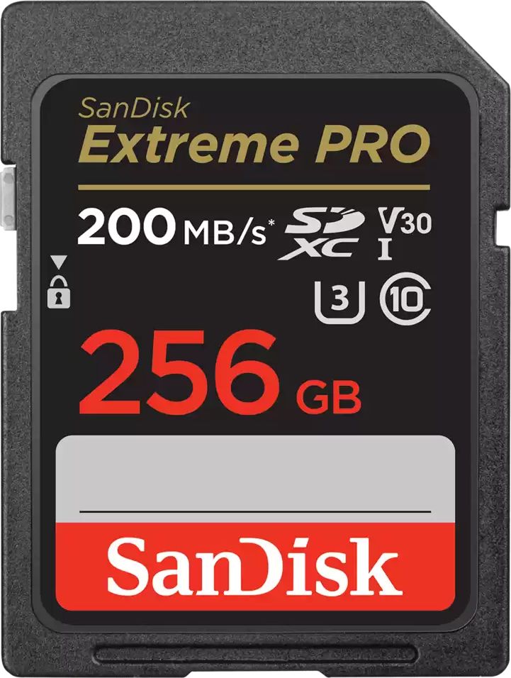 SanDisk SDXC 256GB SDSDXXD-256G-GN4IN - UHS-I