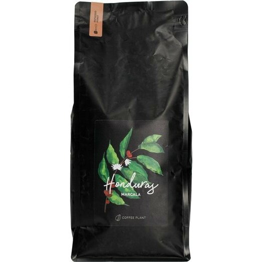 Kafijas pupiņas Coffee Plant COFFEE PLANT