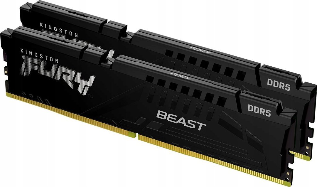 Kingston Fury Kingston Technology FURY Beast