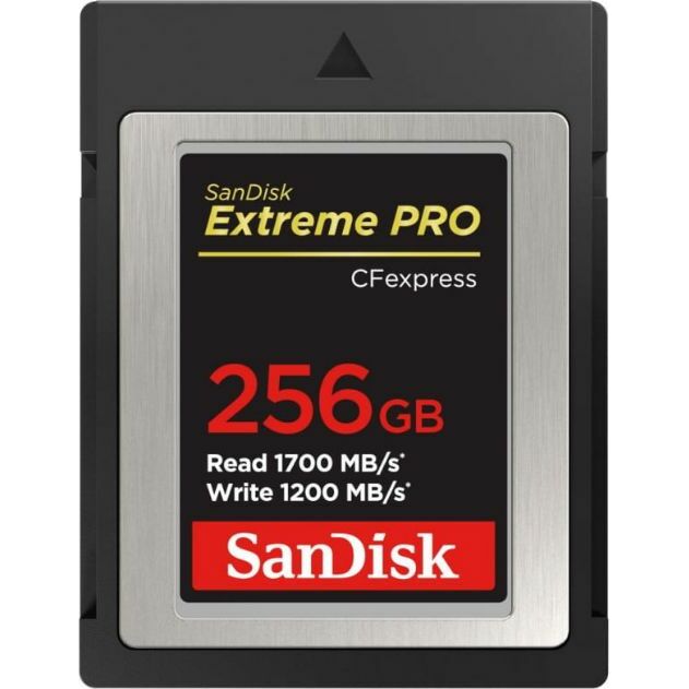 SanDisk CFexpress 256GB SDCFE-256G-GN4NN - PCIe