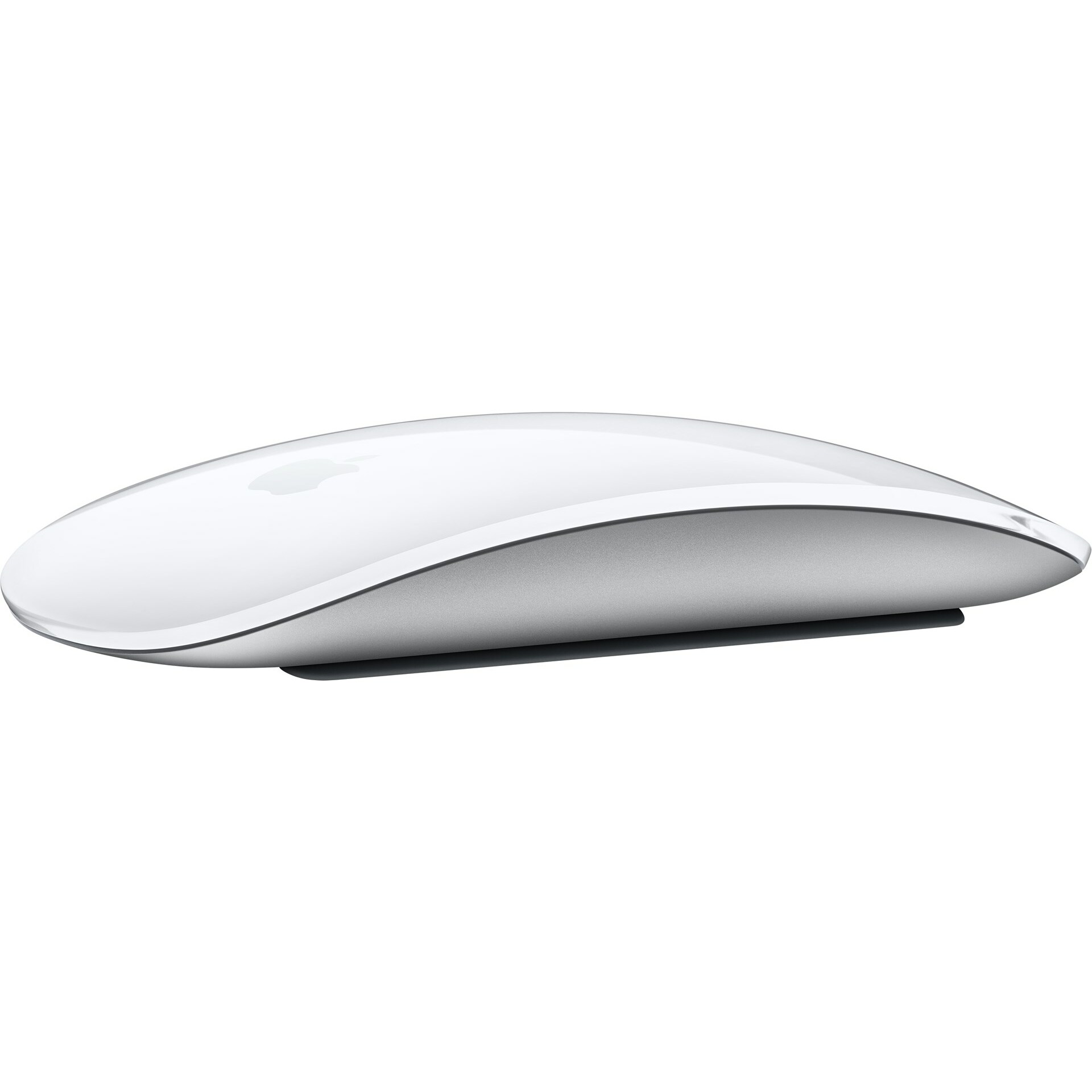 Apple Magic mouse Office Ambidextrous RF