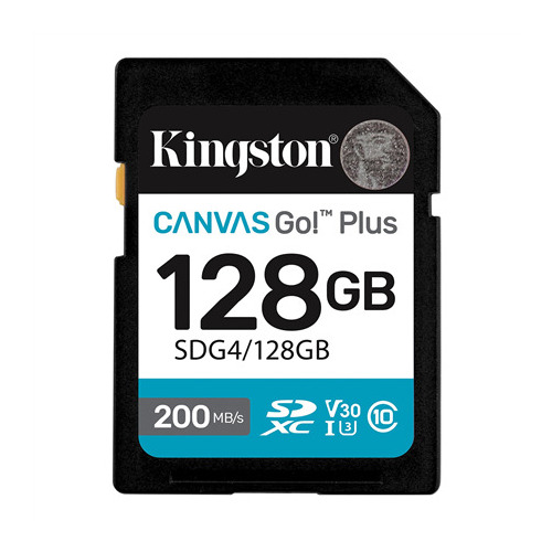 Kingston  | Canvas Go! Plus |