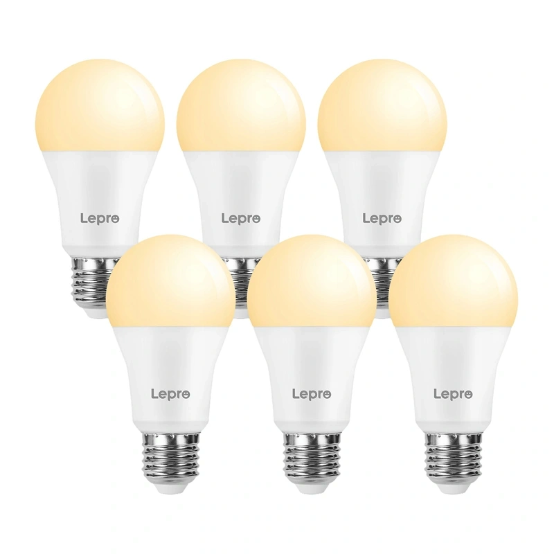 LED bulb LEPRO 100080-WW-EU-6 E27 A60