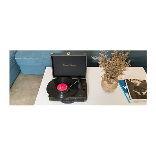 Muse  | Turntable Stereo System |