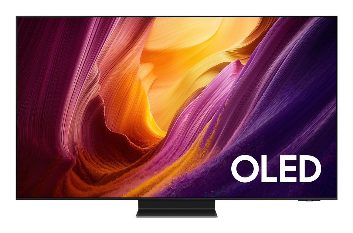 Samsung QE65S95HFT 165.1 cm (65&quot