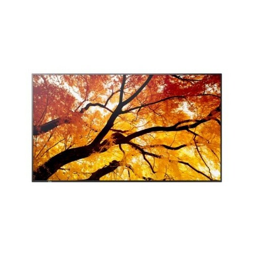 Sharp Display MultiSync M322 32-inch 24/7