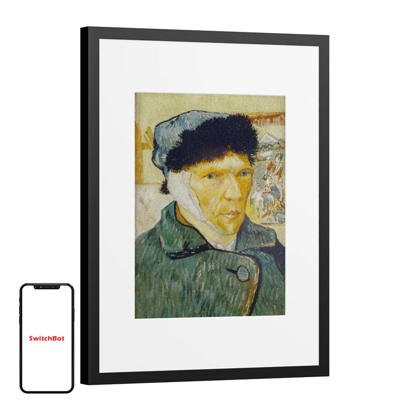 SwitchBot Bot AI Art Frame 13